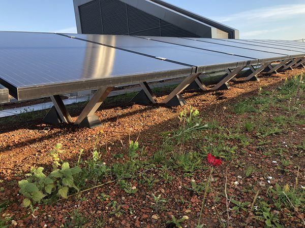 Blue Roof Design Considerations Overview