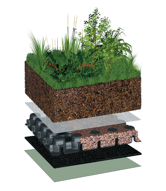 BauderINTENSIVE with Garden Landscaping