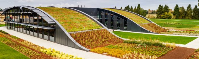 Green Roofs