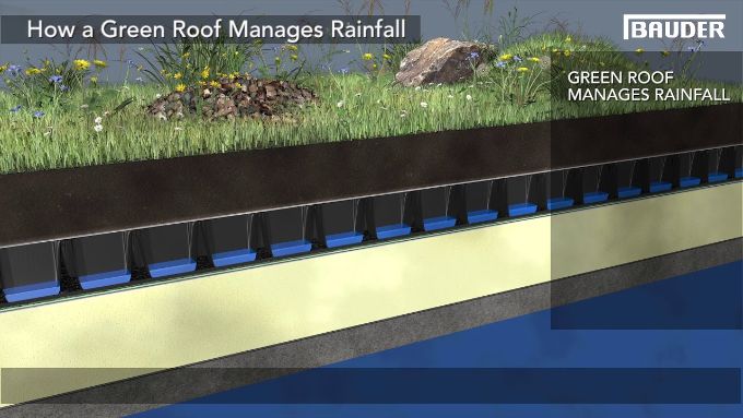 How a green roof manages rainfall