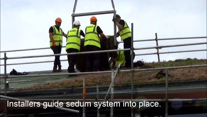 BauderEXTENSIVE LIGHTWEIGHTsedum system project installation 