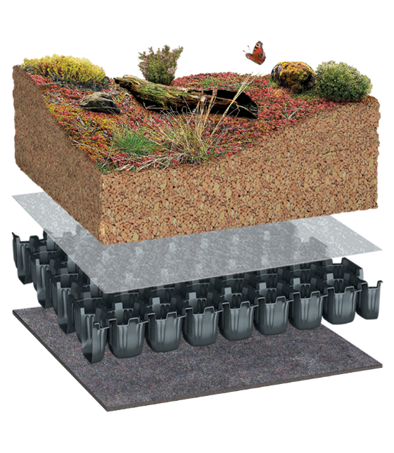 BauderBIODIVERSE with BauderGREEN Plug Plants native species wildflowers