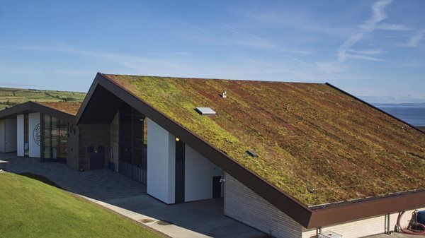 Green Roof Design Considerations