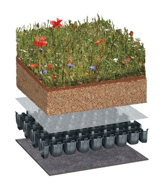 BIODIVERSE with BauderGREEN WB native species vegetation