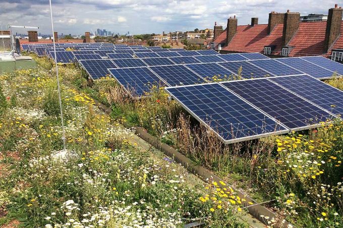 A Guide to Biosolar Roofs: A Green Energy Solution