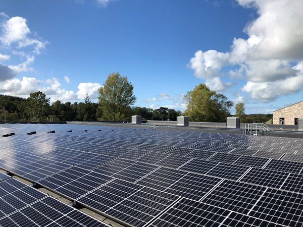 Net Zero And The Education Sector