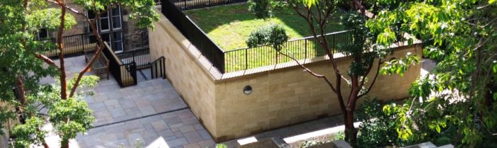 Green and Blue Roofs 